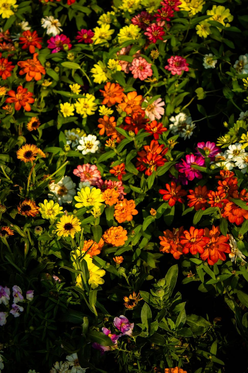 Creating arrangements